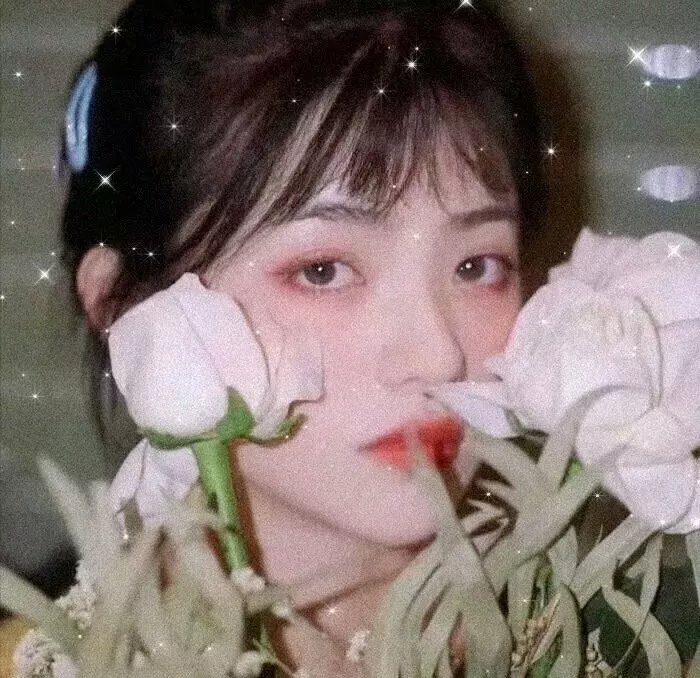 野性的冬天